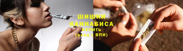 крисы Армянск